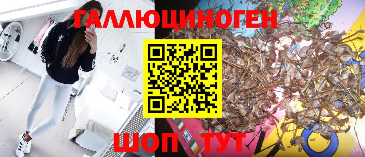 Псилоцибиновые грибы MAGIC MUSHROOMS Оренбург